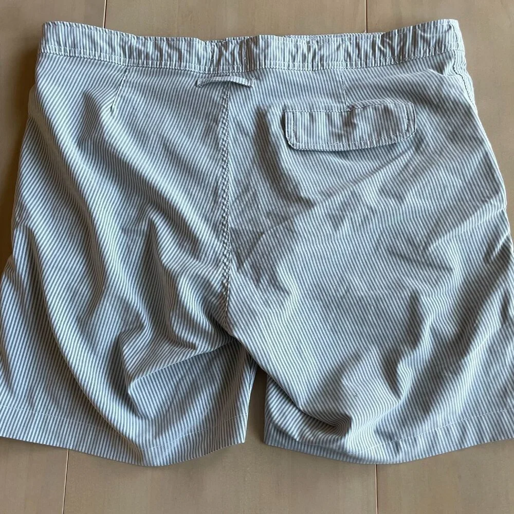 Onia Men's Blue Striped Swim Trunks - Size‎ 34